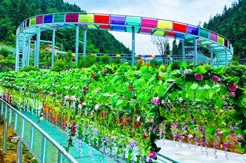 廣東省五華縣雙龍山景區空中玻璃滑道